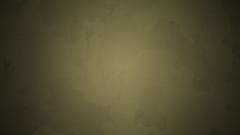 Camoflauge brown johnny cash