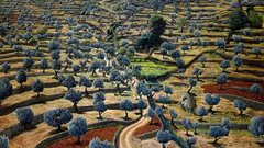 Camouflage 1985 1987 high