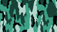 Camouflage