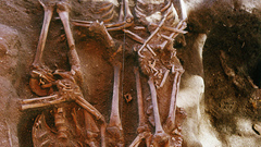 Campeche cemetery skeleton high