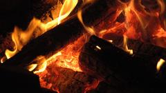 Campfire flame nature