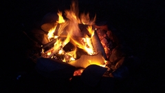 Campfire nature