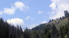 Camping ok really The