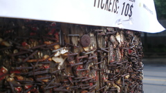 Can anyone make This