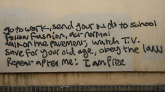 Can some Quotes get hey expert