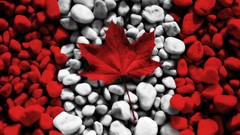 Canada Flags rocks Canadian flag