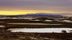 Canada tundra nunavut