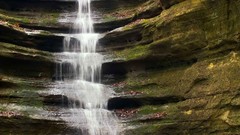 Canyon French waterfalls rocks Parks illinois