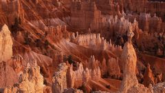 Canyon Pillars