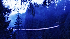 Capilano Suspension Bridge