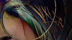 Captured moment high