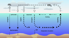 Carbon dioxide Science charts
