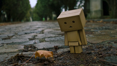 Cardboard danboard