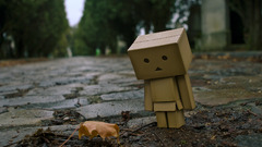 Cardboard roads danboard