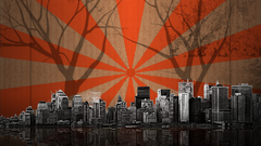 Cardboard small grad what