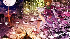 Cardcaptor sakura kinomoto Anime