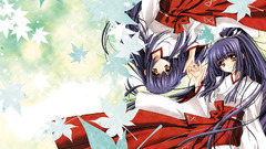 Carnelian miko kao no