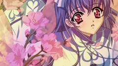 Carnelian touka gettan