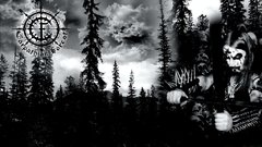 Carpathian forest nature