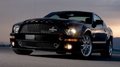 Cars 2008 shelby gt500 Ford Shelby