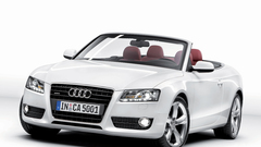 Cars Audi white cars