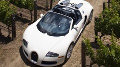 Cars Bugatti bugatti veyron Bugatti Veyron Grand Sport