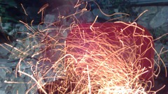 Cars Cameras Photogen and Nycteris