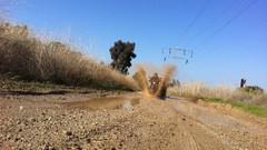 Cars Cameras Photogen and Nycteris