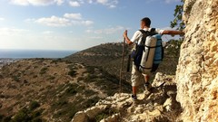 Cars Cameras Photogen and Nycteris