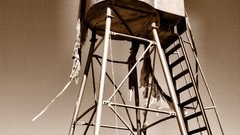 Cars Cameras Photogen and Nycteris