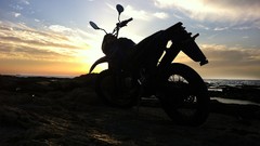 Cars Cameras Photogen and Nycteris