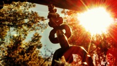 Cars Cameras Photogen and Nycteris