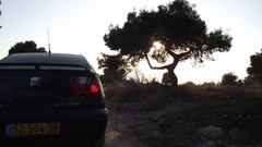 Cars Cameras Photogen and Nycteris