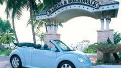 Cars convertible palm trees Volkswagen outdoors volkswagen 