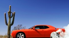 Cars Dodge cactus dodge