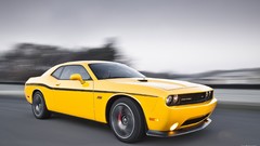 Cars dodge challenger Black and Yellow Dodge Challenger SRT8