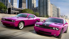 Cars dodge challenger Dodge Challenger SRT Dodge Challenger 