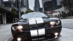 Cars Dodge Challenger SRT8