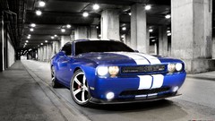 Cars Dodge dodge challenger