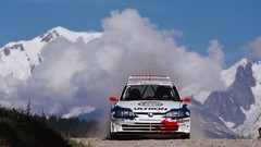 Cars dust rally Peugeot