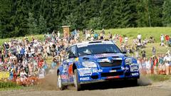 Cars dust rally vehicles