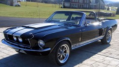 Cars Ford Mustang Shelby