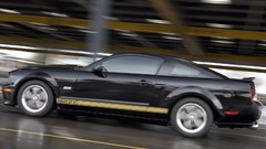 Cars Ford Shelby Ford