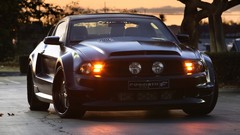 Cars Ford Shelby Ford mustang american car shelby gt500 muscle 