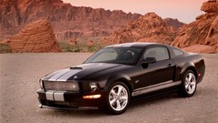 Cars Ford shelby gt500 Shelby Mustang
