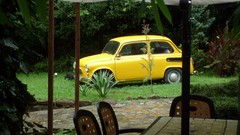 Cars Garden cityscapes ZAZ