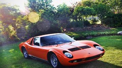 Cars Garden Lamborghini sunlight