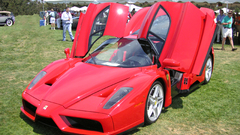 Cars grass Ferrari Enzo
