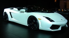 Cars Lamborghini italian cars lamborghini gallardo Lamborghini 
