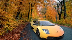 Cars lamborghini murcielago Superveloce